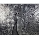 Courtship Charcoal Luxe Art